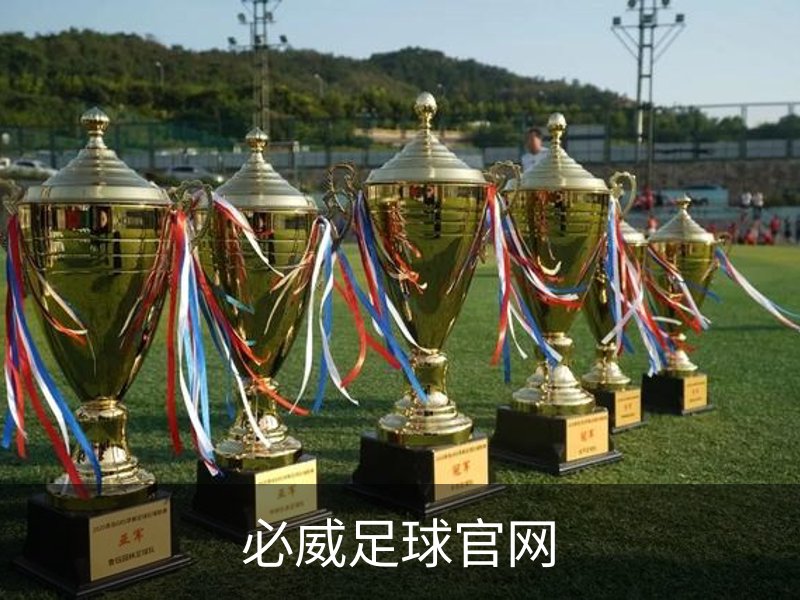 了解必威足球官网